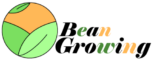 Bean Growing