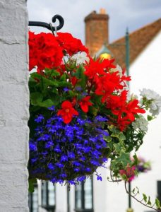 A hanging basket on a brick wall