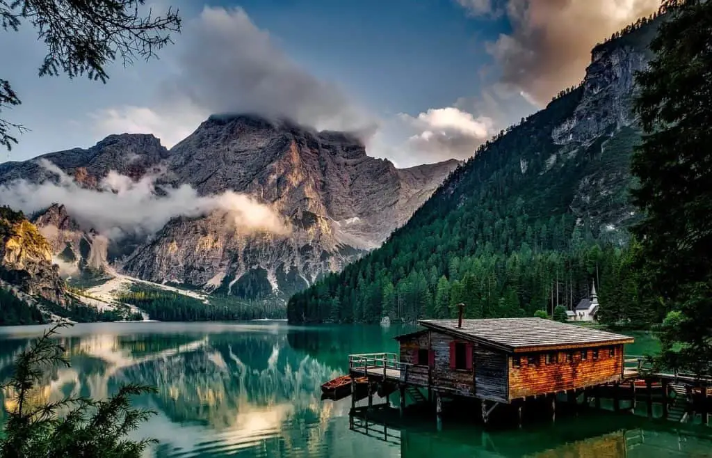A beautiful landscape on the article Top 12 Outdoor Plants That Reduce Air Pollution