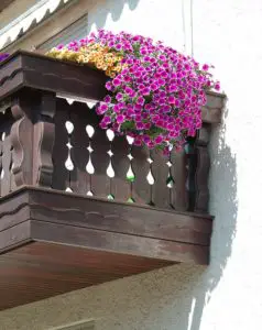 Bright pink flowers on a balcony