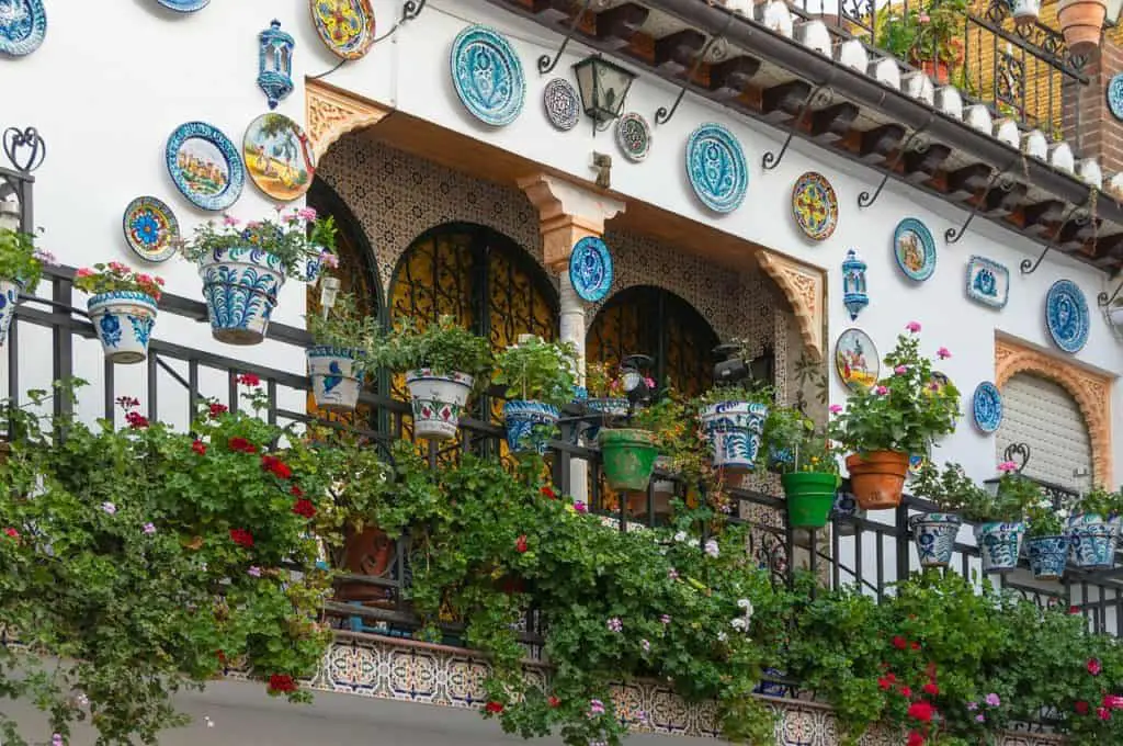 A balcony on the article Top 5 Tall Plants For Your Balcony
