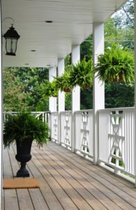 A balcony with a few plants on