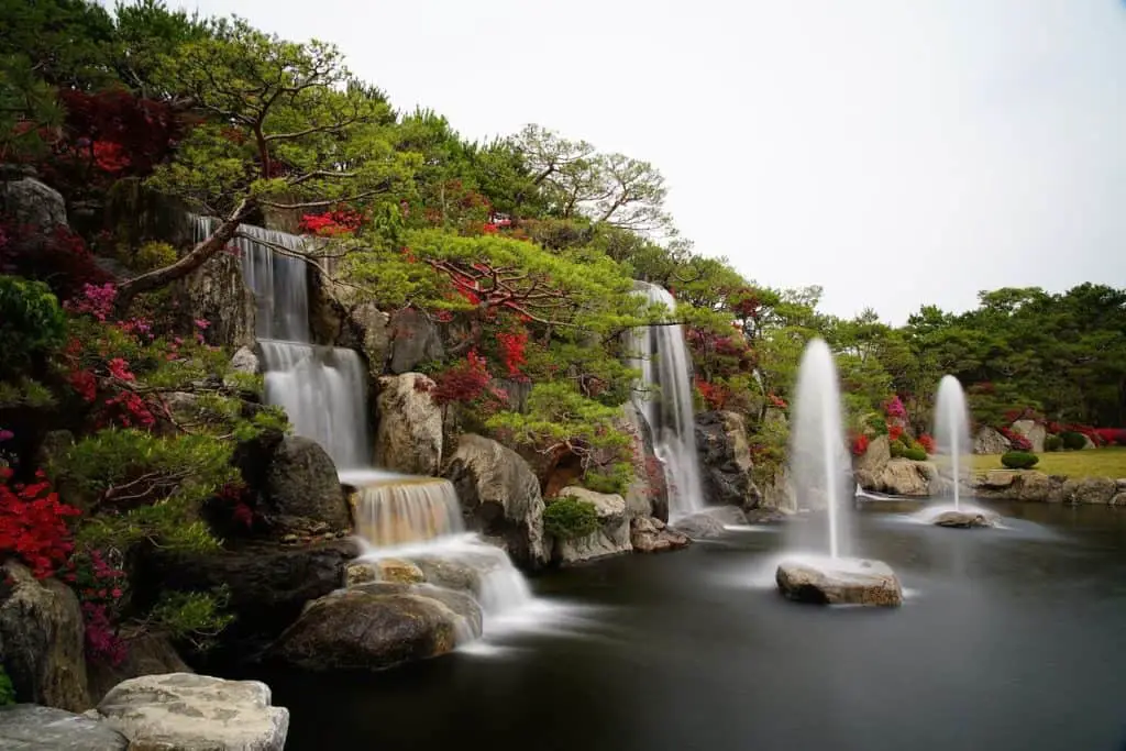 A beautiful gardenscape on the article How to Fix Your Ming Aralia Problems