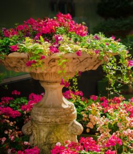 A beautiful flower waterfall