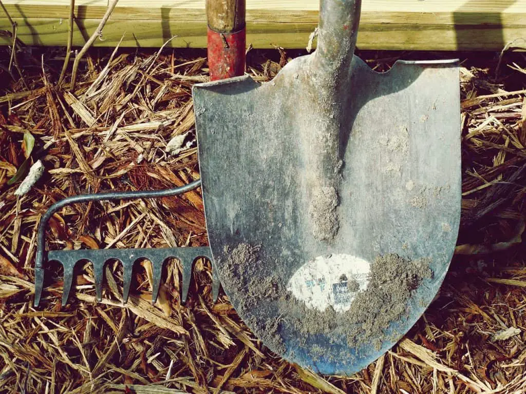 A rake and shovel on the article When Should you use a Tiller