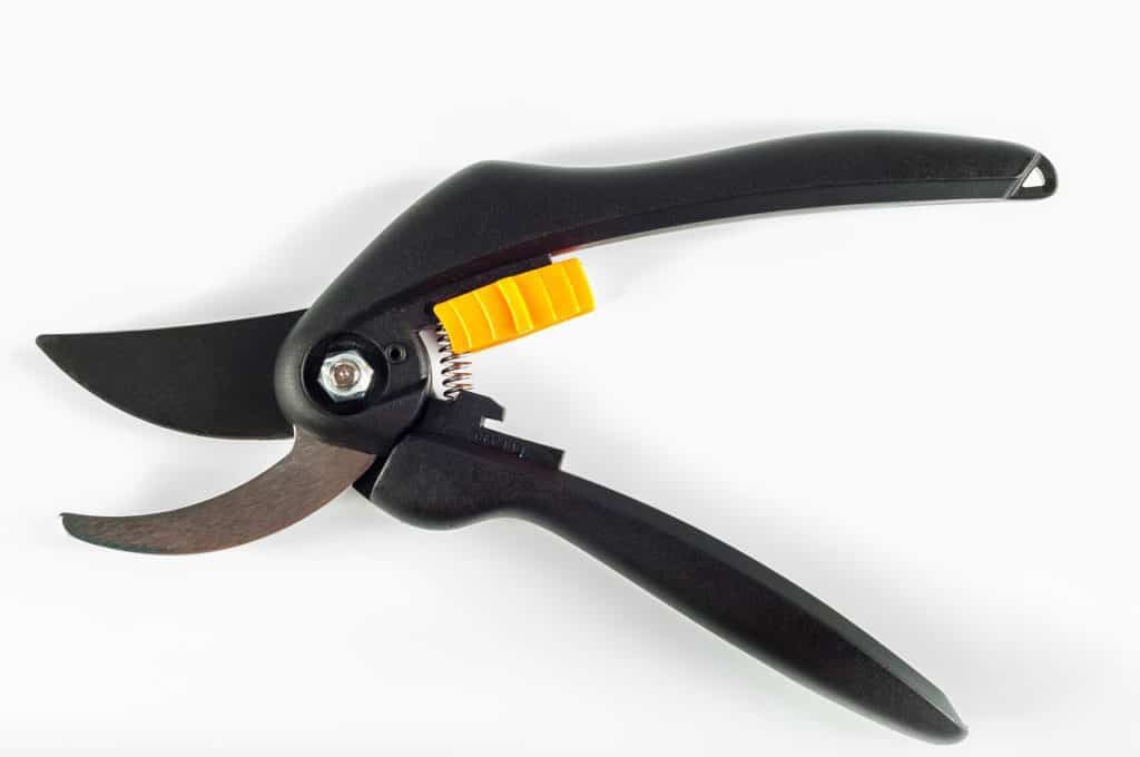 Pruners on the article What is the Difference Between Pruners and Secateurs
