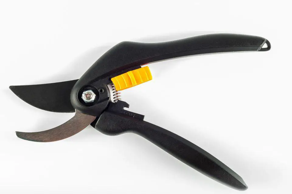 Pruners on the article What is the Difference Between Pruners and Secateurs