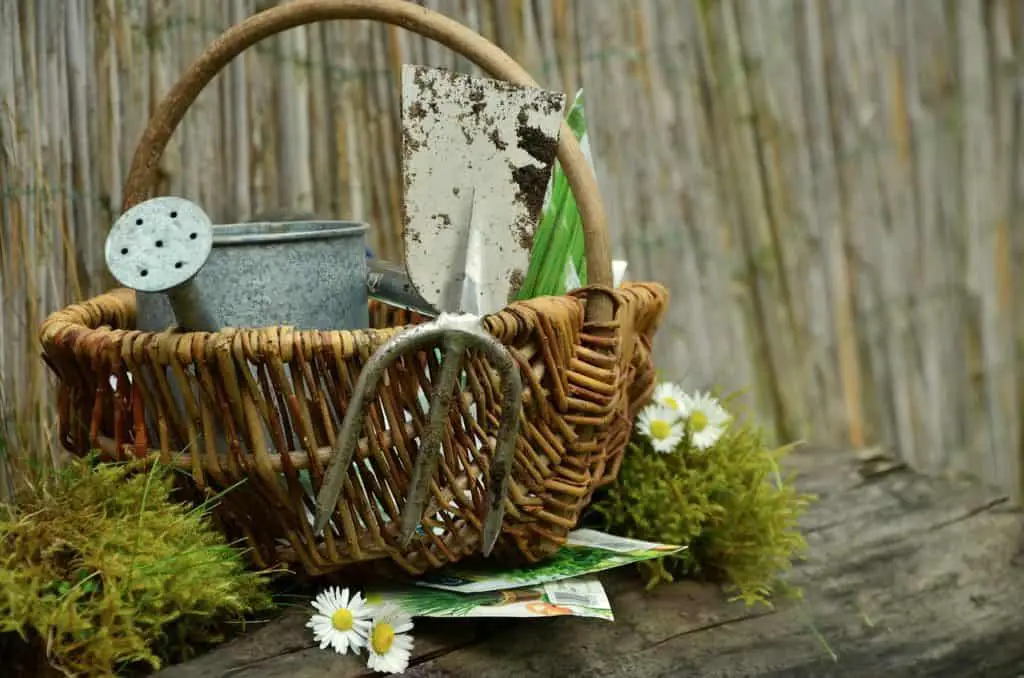 A hoe on the article Action Hoe vs Garden Hoe