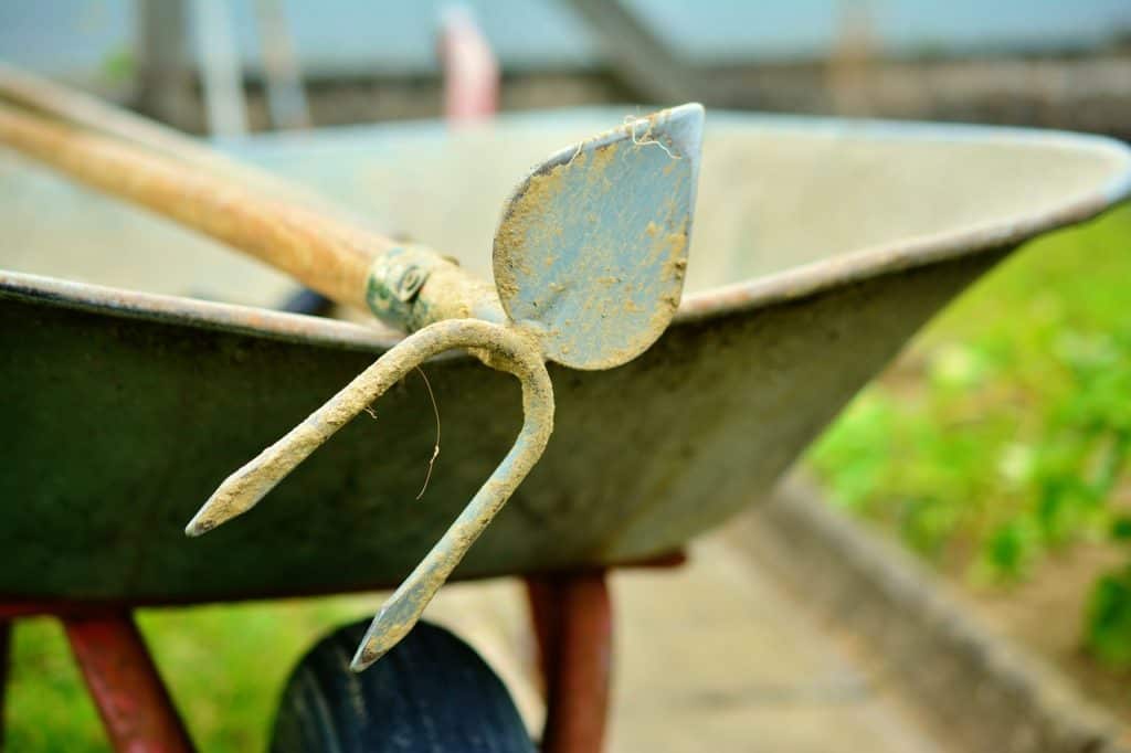 A hoe on the article Which Hoe is Best For Weeding