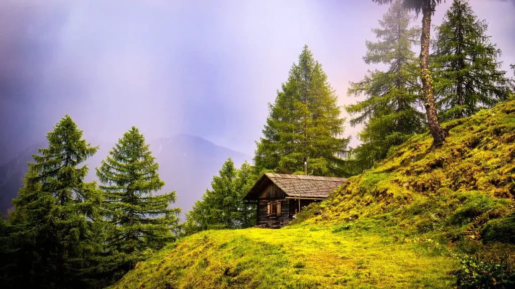 A house with lots of trees on the article What Are the Fastest Growing Evergreen Trees for Small Gardens