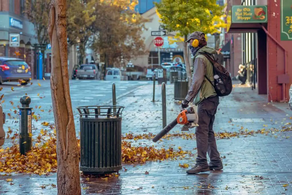 A person using a leaf blower on the article What is the Best Light Weight Leaf Blower
