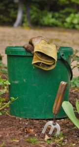 A bucket with gloves on