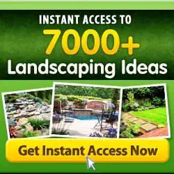 ideas 4 landscaping