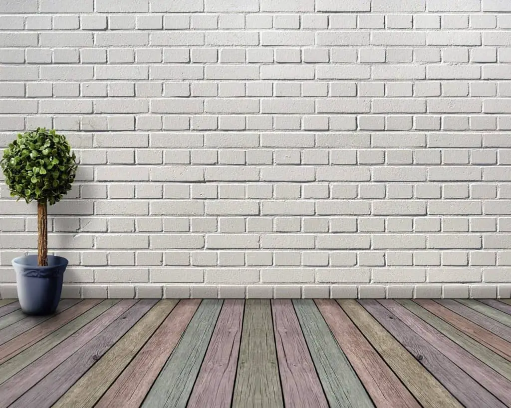 A houseplant on the article How To Use Houseplants for Spiritual Protection
