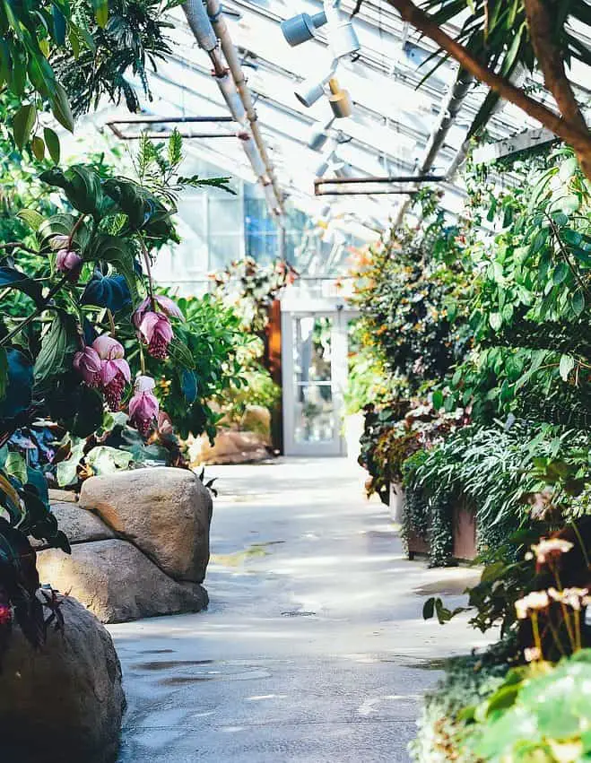 3 Best Portable Greenhouses for Winter + Tips to Keep it Warm