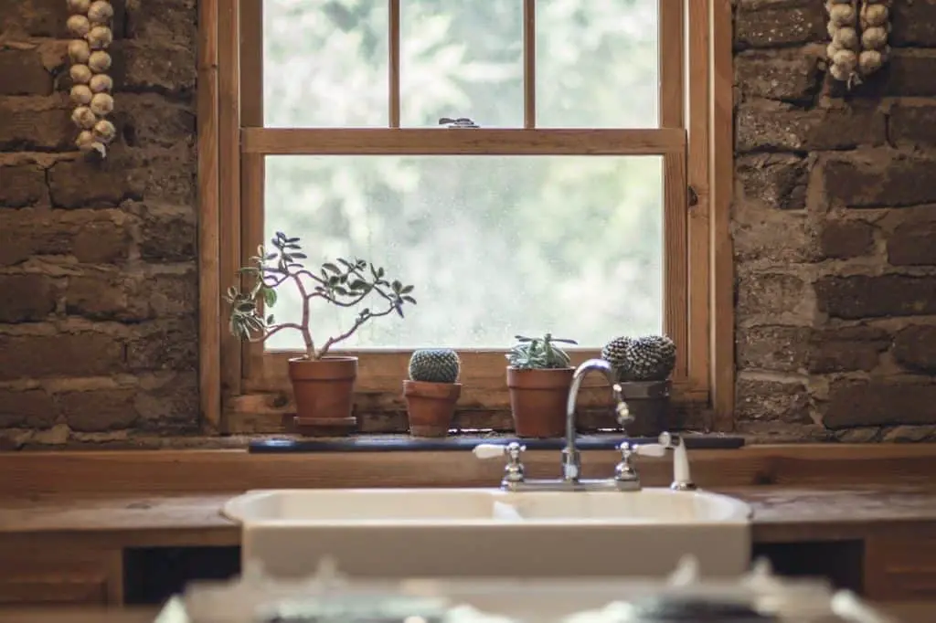 Lots of potted plants a window sill on the article Does Neem Oil Kill Spider Mites