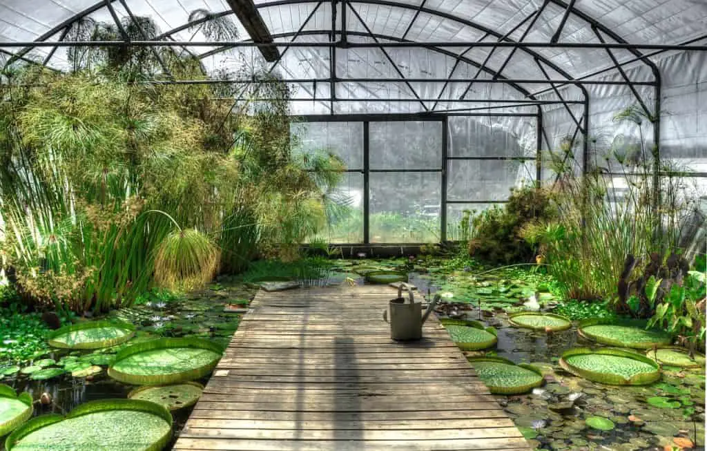 A greenhouse on the article What is the Best Portable Greenhouses for Winter