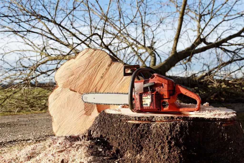 A chainsaw on the article The Best Cordless Pruning Saw Review