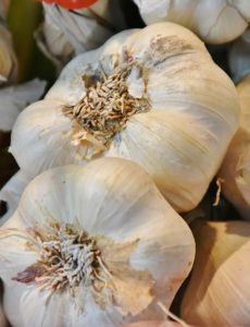 Garlic cloves