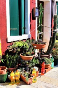 Lots of garden pots