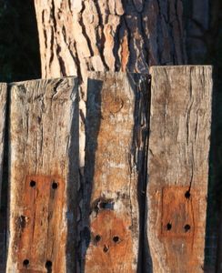 Wooden railway sleepers