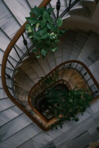 A pothos climbing up stairs on the article Why are my Pothos Leaves Turning Yellow